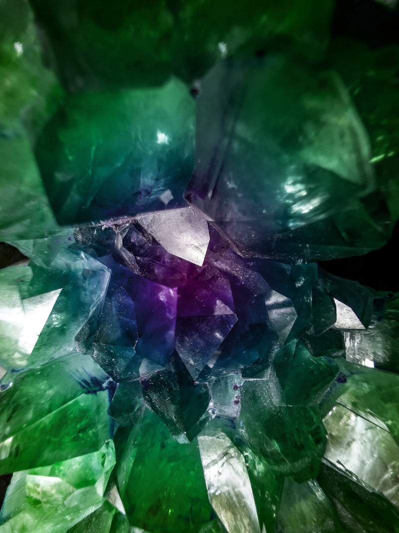 Gemoterapia
