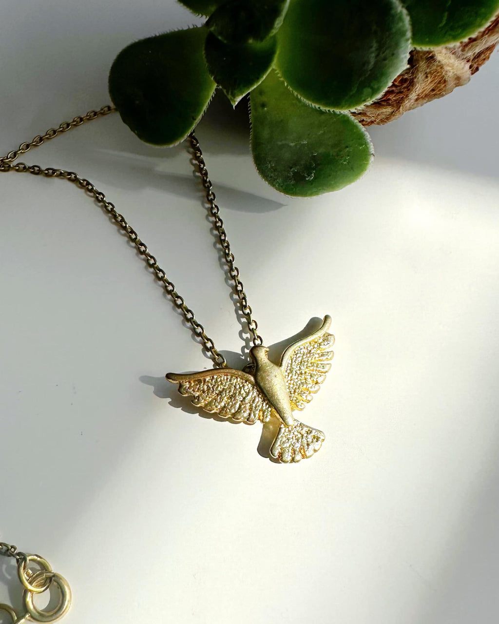 Collar Espíritu Santo. Incluye mensaje especial y packing para regalo