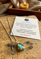 Collar de Plata 925 Amuleto Labradorita libélula . Incluye significado de la piedra y packing para regalo