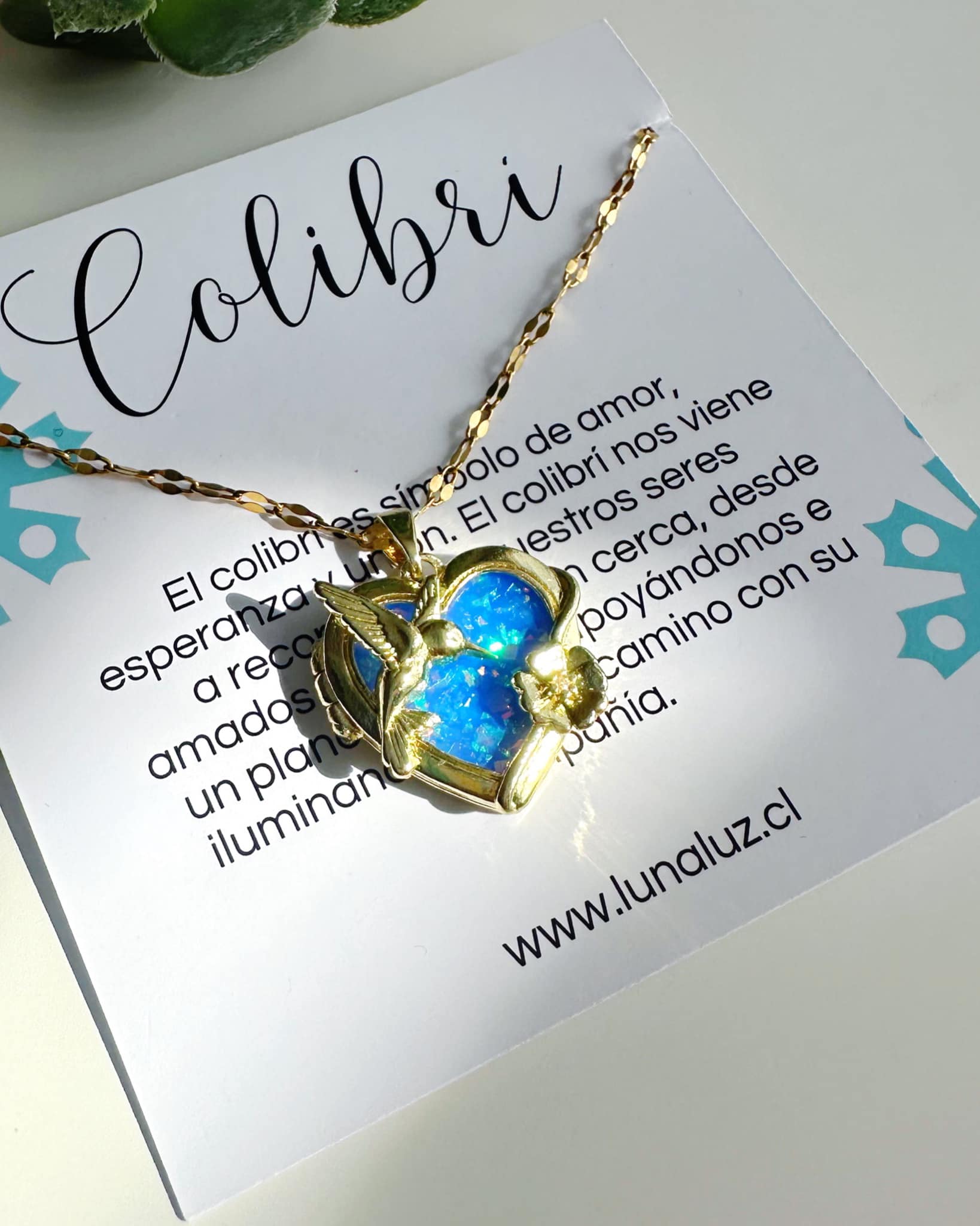relicarios para mujer, joyas de relicarios, collar relicario, relicarios con foto, relicarios personalizados, joyas para mujer, joyas con valor sentimental, relicarios elegantes,relicarios de oro, relicarios modernos, joyas para regalo, relicarios corazón, relicarios con cadena, joyas conmemorativas, relicarios con diseño delicado, joyas para recordar, relicarios de mujer con foto, joyas clásicas para mujer, relicarios finos, joyas de amor y recuerdo,joyas románticas, joyas conmemorativas para mujer, relica