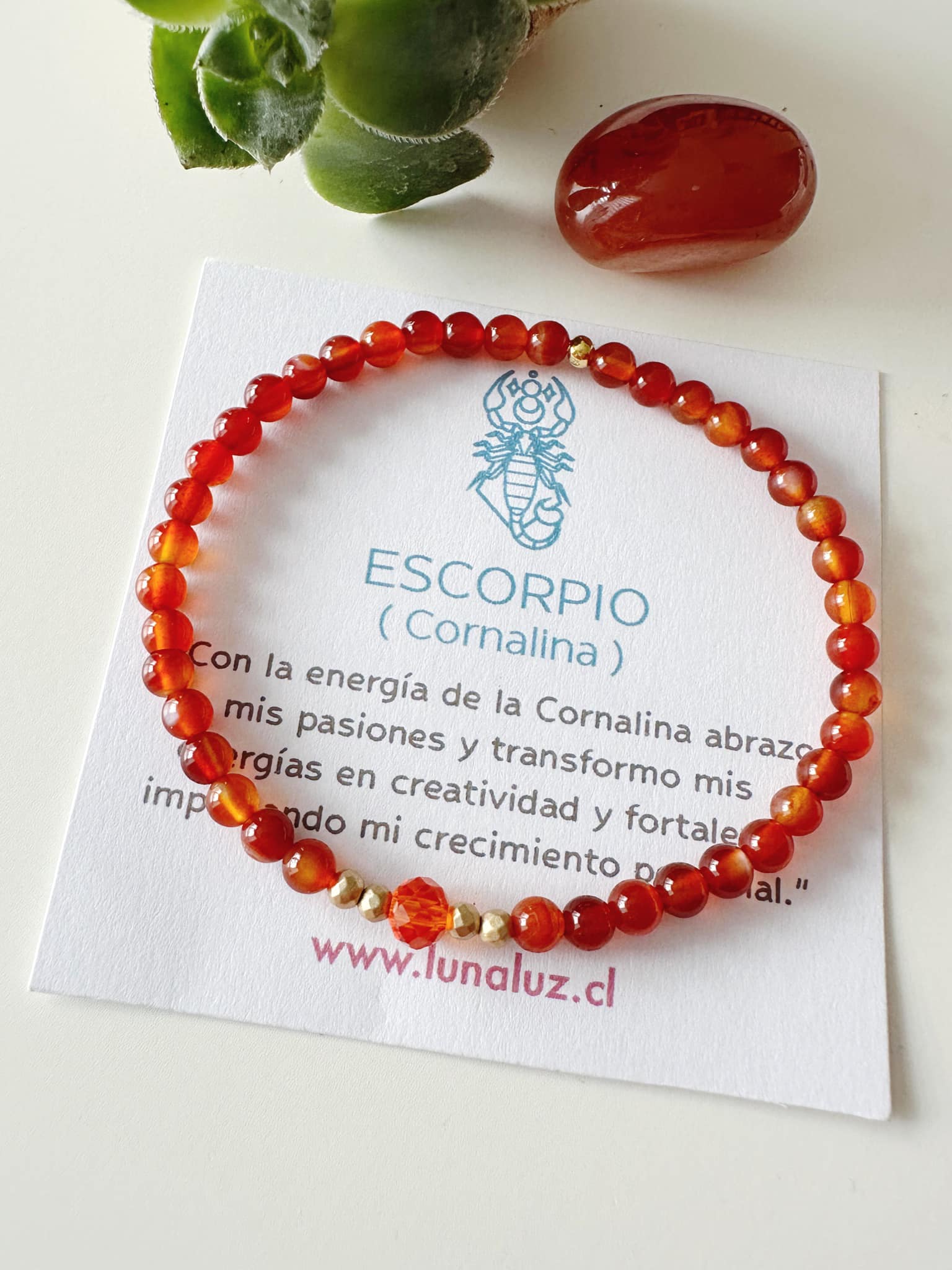 pulsera signo Escorpio, pulsera Escorpio mujer, pulsera zodiacal Escorpio en piedra cornalina con tarjeta impresa con el significado de la piedra cornalina y del signo escorpio